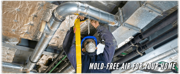 Air Duct Mold Removal in Lewisville TX